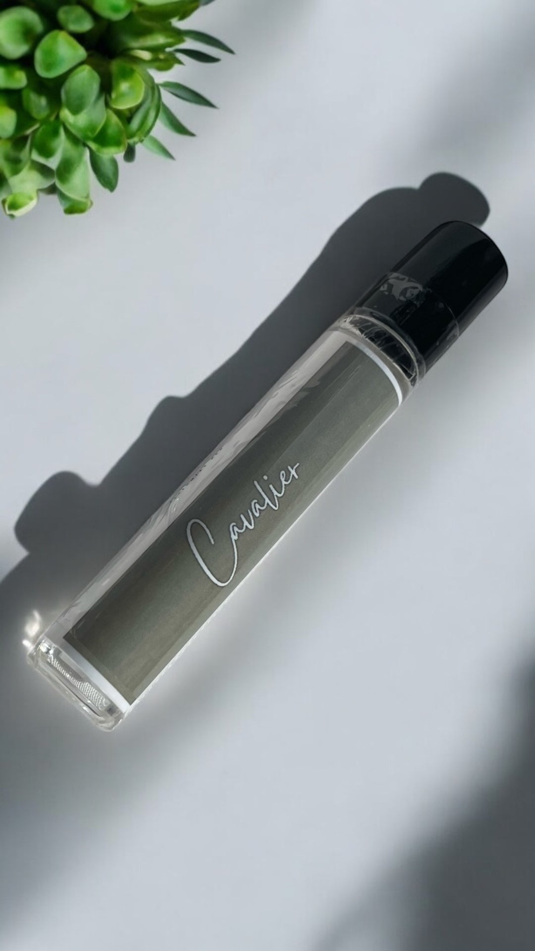 Cavalier ( Sauvage Dior)