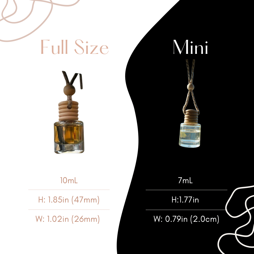 Hanging Car Diffuser (Bottle)