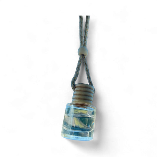 Hanging Car Diffuser (Bottle)
