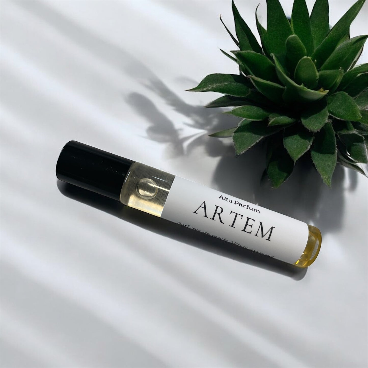 Artem (PDM’s Althair)